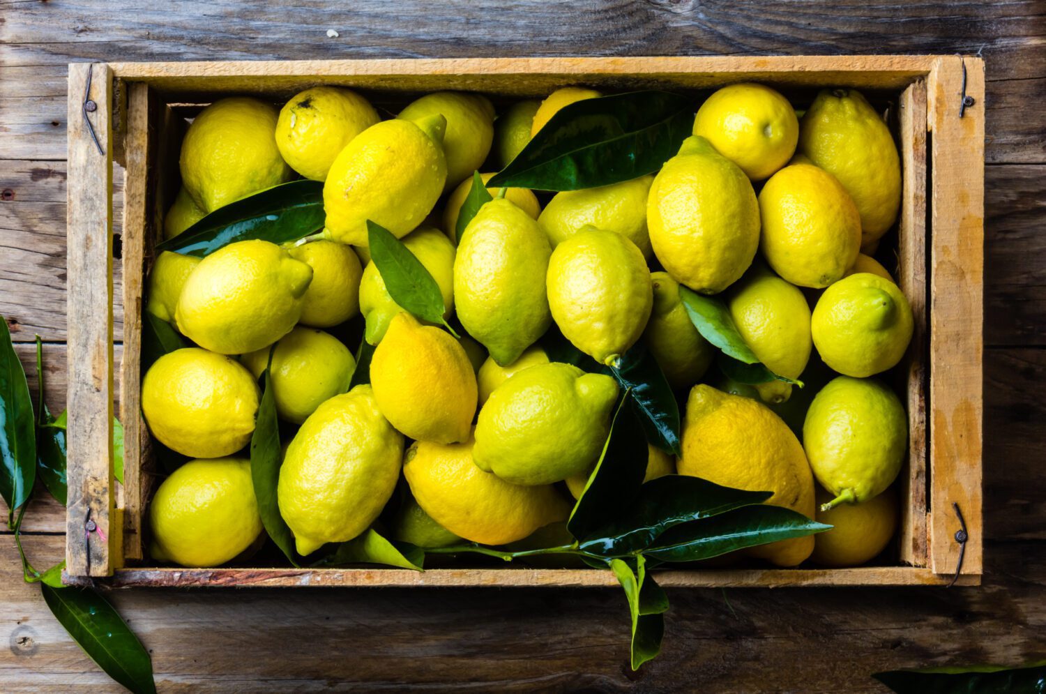 lemons in a box